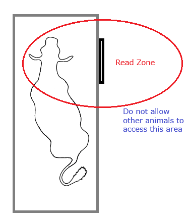 Antenna placement from above